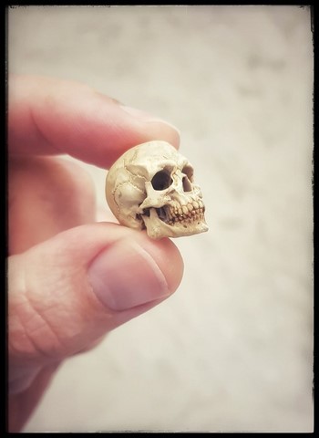 Petit crâne peint